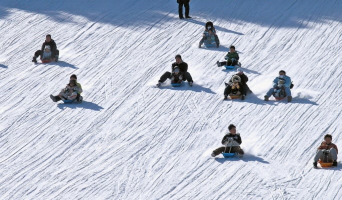Strawberry Picking + Winter Sled + Eobi Valley 1 Day Tour - from Seoul