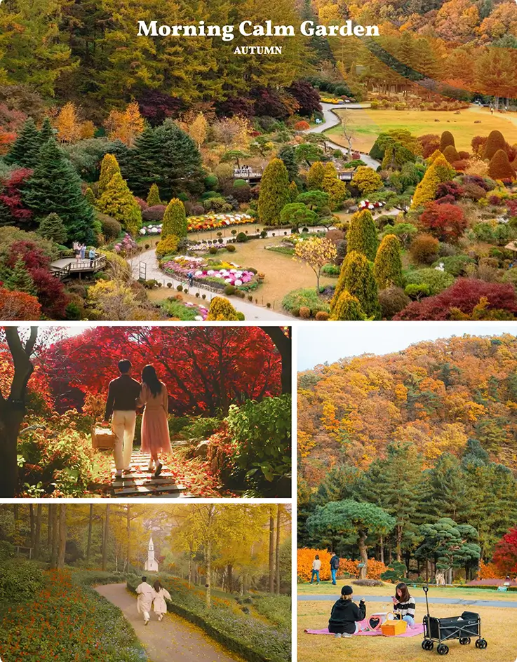 Autumn foliage at the Garden of Morning Calm
