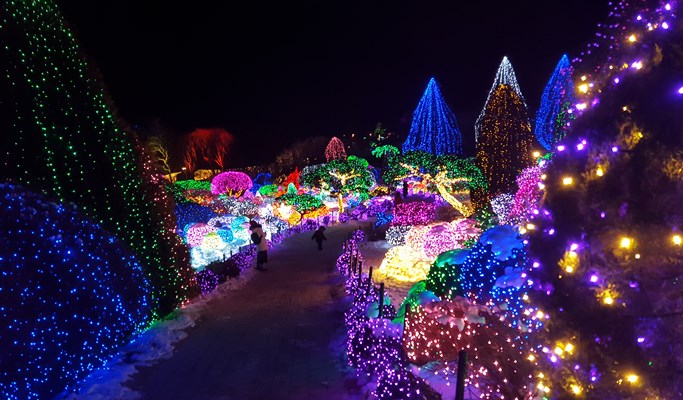 Vivaldi Park Snowy Land Snow Sled + Strawberry Picking + Garden of Morning Calm 1 Day Tour (Dec 20~Mar 4)