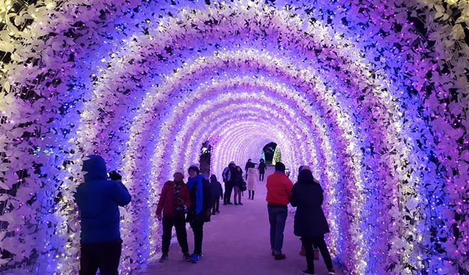 南怡島＋アチムゴヨ樹木園（朝の静かな樹木園）＋プチフランス＋イタリア村 1日ツアー