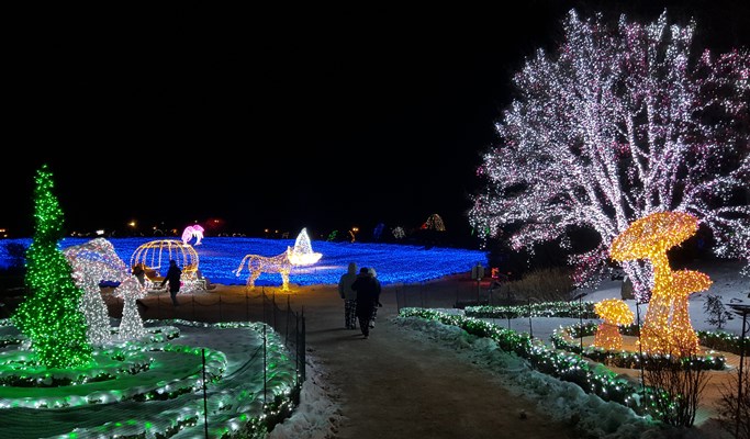 Vivaldi Park Snowy Land Snow Sled + Strawberry Picking + Garden of Morning Calm 1 Day Tour (Dec 20~Mar 4)
