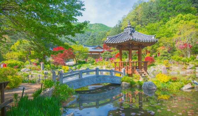 南怡島 & 虹森工作室之旅（+ 晨靜樹木園/鐵路自行車/羊駝世界/小法國村選項）