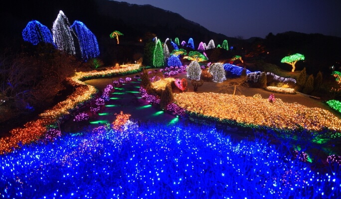 Nami Island + Eobi Ice Valley Tour (+ Garden of Morning Calm/ Rail Bike/ Petite France/ Alpaca World options)