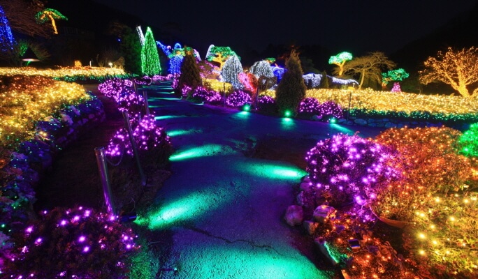 Nami Island + Eobi Ice Valley Tour (+ Garden of Morning Calm/ Rail Bike/ Petite France/ Alpaca World options)