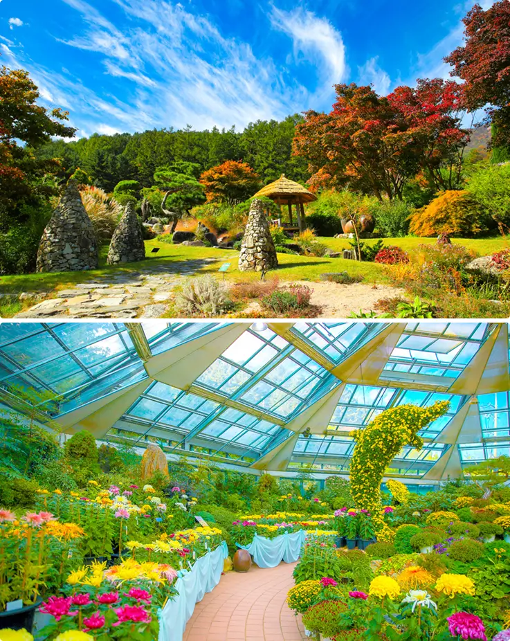 The Garden of Morning Calm in the fall