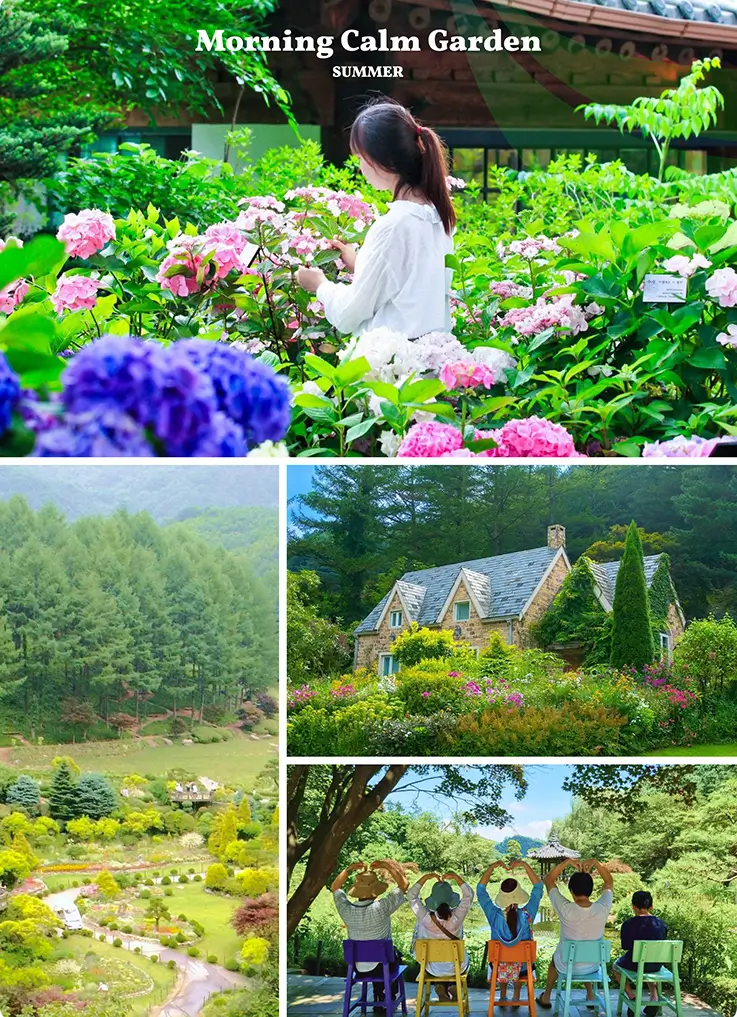 Garden of Morning Calm in summer with seasonal flowers