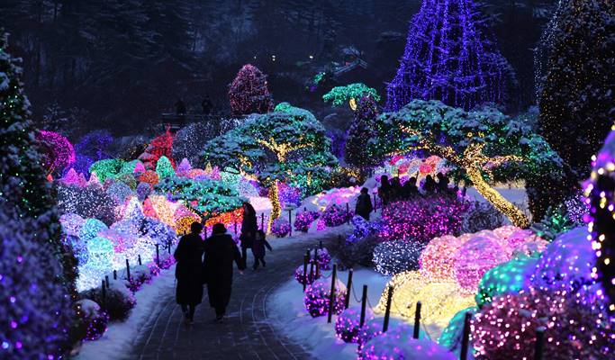 Ski Resort Transfer & Private Tour (Seoul ↔️ Yongpyong/ Alpensia/ High1/ Phoenix Ski Resort)