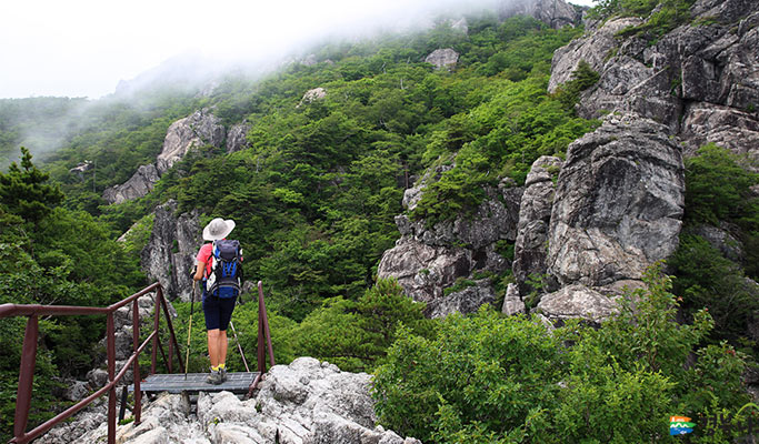 Gyeongbuk Gayasan National Park Hiking Tour from Daegu