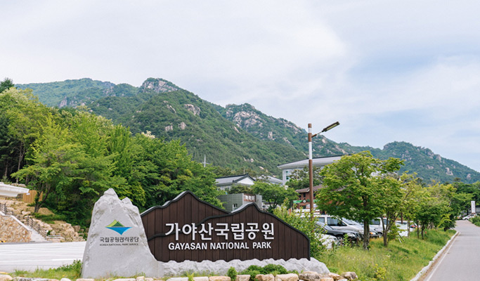 Gyeongbuk Gayasan National Park Hiking Tour from Daegu