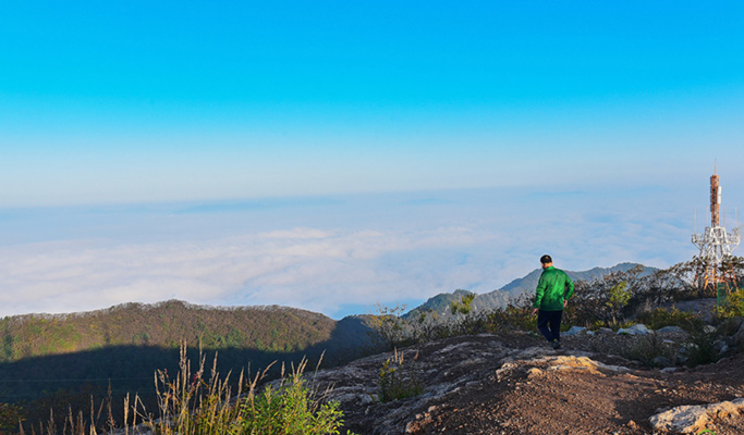 Gyeongbuk Gumi Mt. Geumosan Provincial Park Hiking Tour from Daegu
