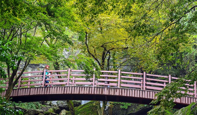 Gyeongbuk Gumi Mt. Geumosan Provincial Park Hiking Tour from Daegu