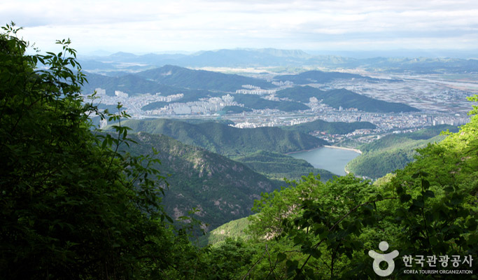 Gyeongbuk Gumi Mt. Geumosan Provincial Park Hiking Tour from Daegu