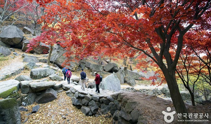 Gyeongbuk Gumi Mt. Geumosan Provincial Park Hiking Tour from Daegu