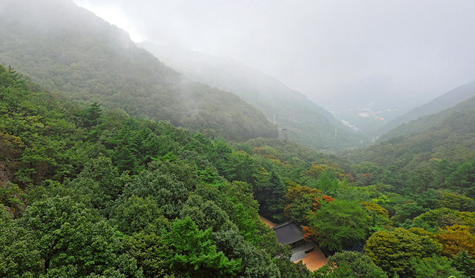 Gyeongbuk Gumi Mt. Geumosan Provincial Park Hiking Tour from Daegu