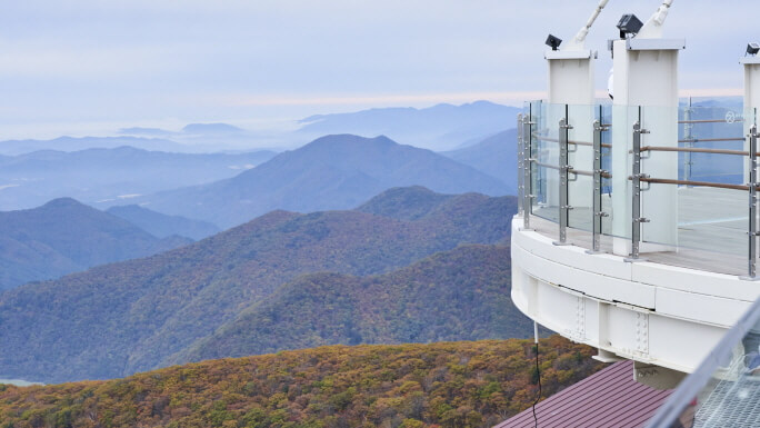 [Gangwon Wonderland] Relaxing Nature Escape Gangwon Tour from Seoul