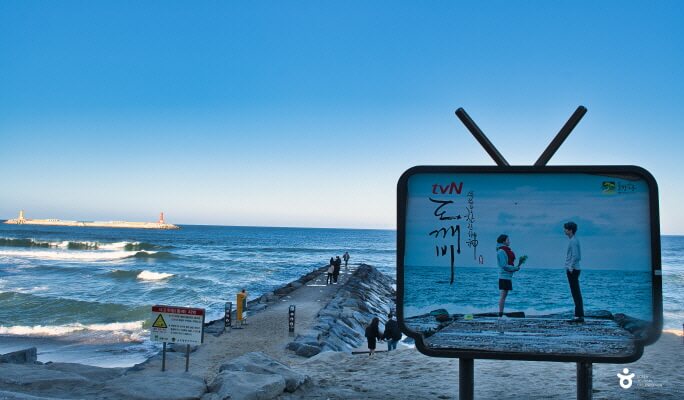 [Gangwon Wonderland] Relaxing Nature Escape Gangwon Tour from Seoul