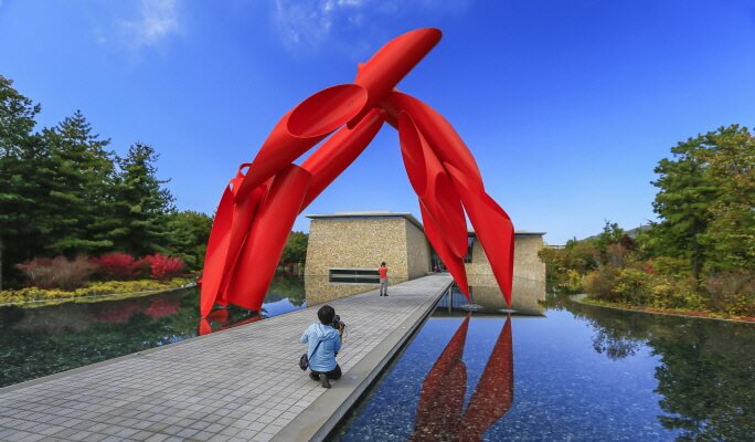 [Gangwon Wonderland] Relaxing Nature Escape Gangwon Tour from Seoul