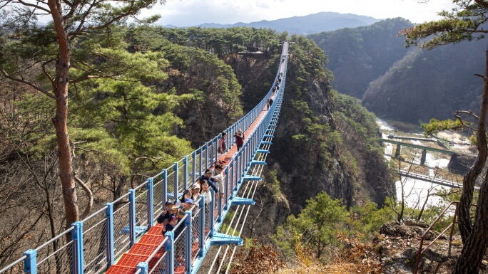 [Gangwon Wonderland] Relaxing Nature Escape Gangwon Tour from Seoul