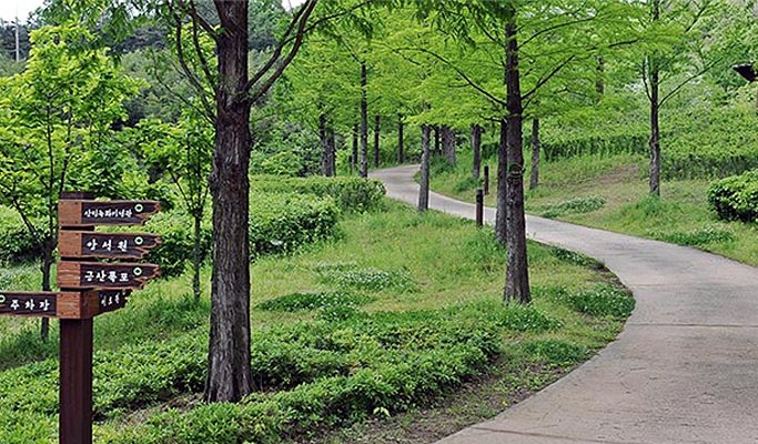 Gyeongbuk Goryeong 1 Day Private Tour from Daegu