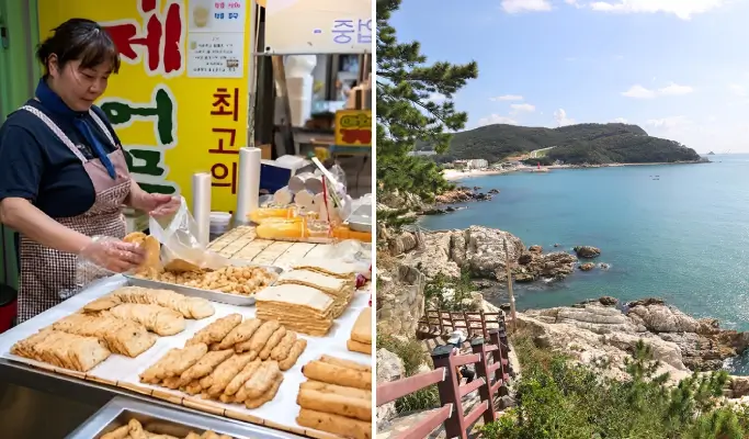 [BOF 2025 SPECIAL] Busan Gourmet Walking Tour from Busan KTX Station