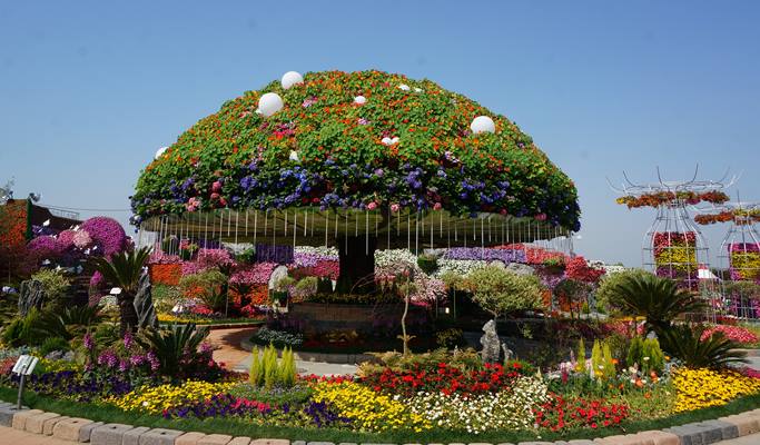 Goyang International Flower Festival & DMZ 1 Day Tour (Sep 25~Oct 9)