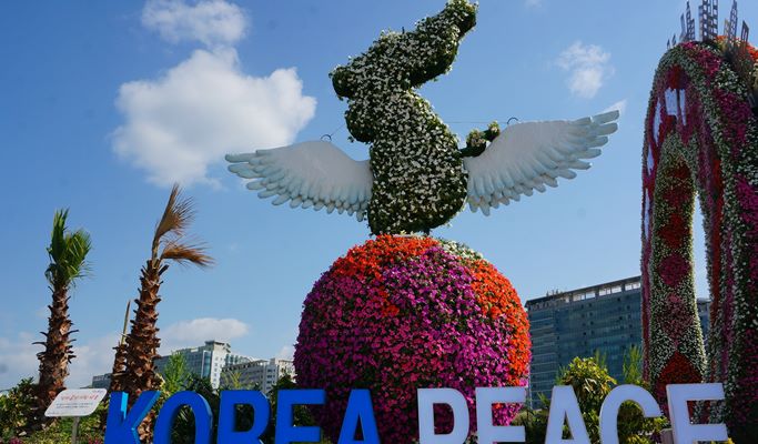 Goyang International Flower Festival & DMZ 1 Day Tour (Sep 25~Oct 9)