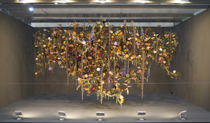 Goyang International Flower Festival & DMZ 1 Day Tour (Sep 25~Oct 9)