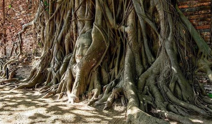 Ayutthaya Tour by Grand Pearl Cruise (+ Lunch Buffet) (+ Hotel Transfer) - from Bangkok