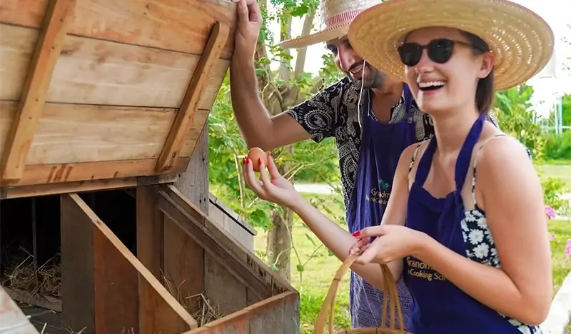 Thai Cooking Class & Local Market Tour in Chiang Mai (Half Day/Full Day) - view 2