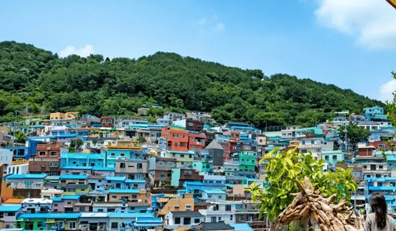 Busan 1 Day Tour: Gamcheon Culture Village + Haedong Yonggungsa Temple + Haeundae Sky Capsule + Yacht Tour