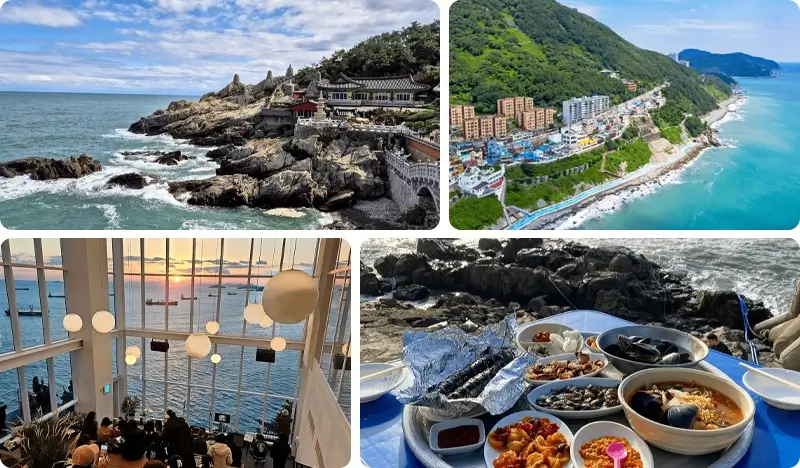 Busan Local 1 Day Tour: Haedong Younggungsa Temple + Yeongdo Bridge + Fishing & Haenyeo Village Experience & More