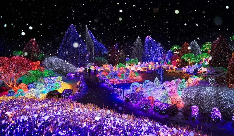 Gugok Ice Valley 1 Day Tour (+ Strawberry Picking/ Elysian Ski Resort/ Nami Island/ Garden of Morning Calm/ Rail Bike options) - from Seoul - view 1