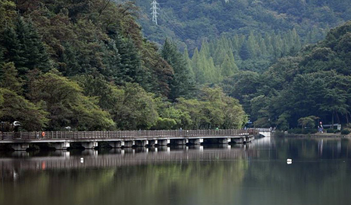 Gyeongbuk Gumi (Daegu Suburb) 1 Day Private Tour from Daegu