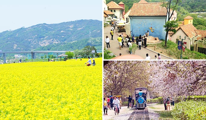 Spring Special: Guri Han River Park Canola Flower Festival + Petite France + Nami Island + Garden of Morning Calm 1 Day Tour (May 8 & 10)