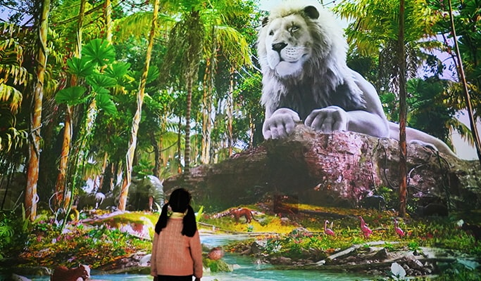 Gwacheon Wonder Park Discount Ticket