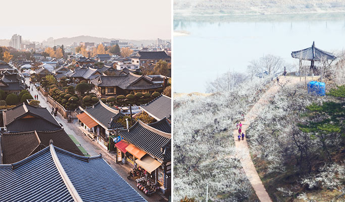 Gwangyang Maehwa Village & Jeonju Hanok Village - from Seoul
