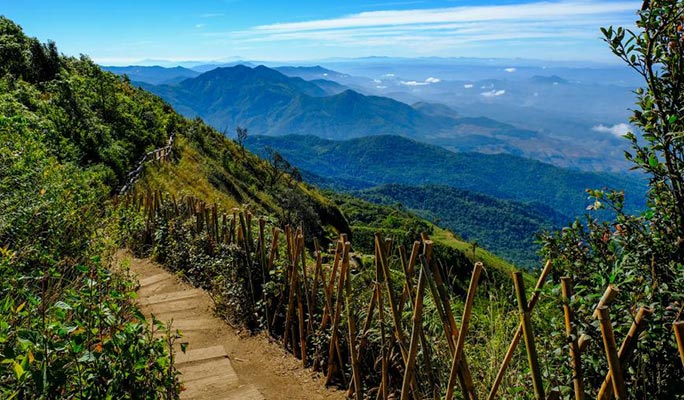 Doi Inthanon National Park Bird Watching 1 Day Tour (+ Lunch) (+ Hotel Transfer) - from Chiang Mai