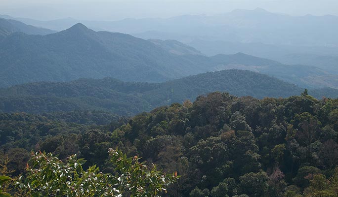 Doi Inthanon National Park Bird Watching 1 Day Tour (+ Lunch) (+ Hotel Transfer) - from Chiang Mai