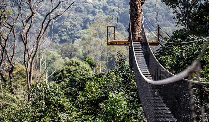 Chiang Mai Kingkong Smile Zipline + Doi Saket Hot Spring 1 Day Private Tour (+ Lunch) (+ Hotel Transfer)