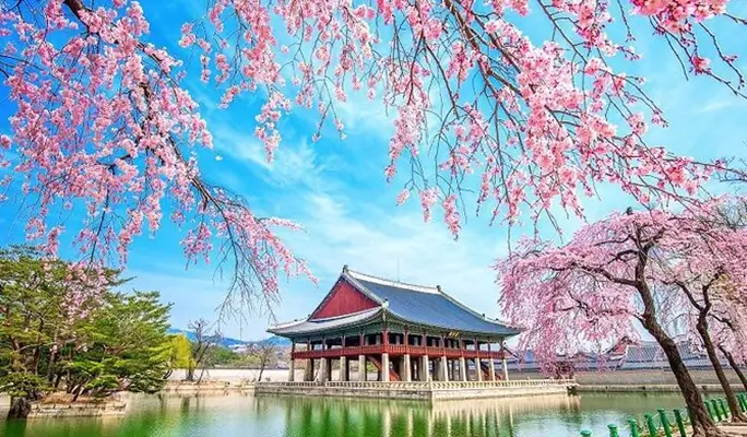 Gyeongbokgung & Insadong Food Walking Tour