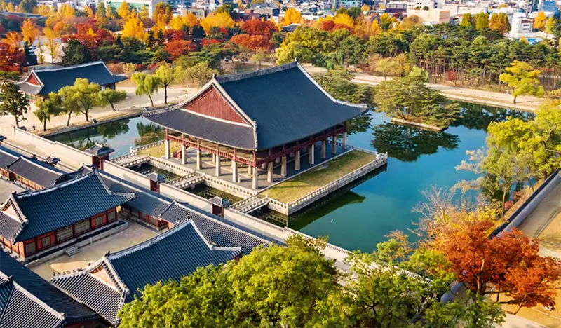 Seoul Private 1 Day Tour: N Seoul Tower + Gyeongbokgung Palace + Bukchon Hanok Village (+ The Painters Show option)
