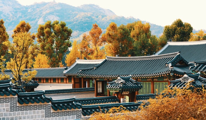Korean Palace Tour