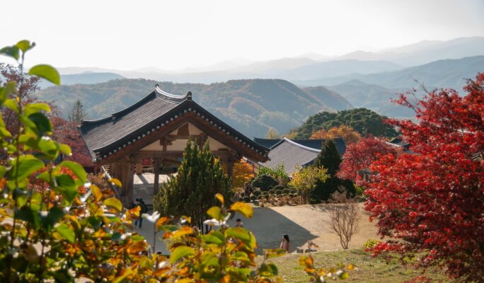Autumn Foliage Gyeongbuk Trekking Tour from Seoul (Oct 30 & Nov 6)