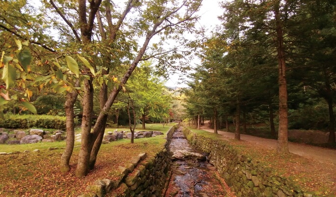 Autumn Foliage Gyeongbuk Trekking Tour from Seoul (Oct 30 & Nov 6)