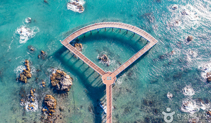 Gyeongbuk Coastal Private Tour (Pohang & Yeongdeok)