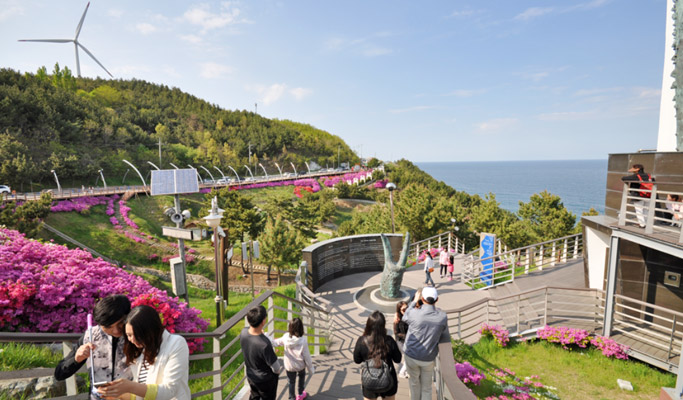 Gyeongbuk Yeongdeok Haeparang Trail No. 21 Trekking Tour from Daegu