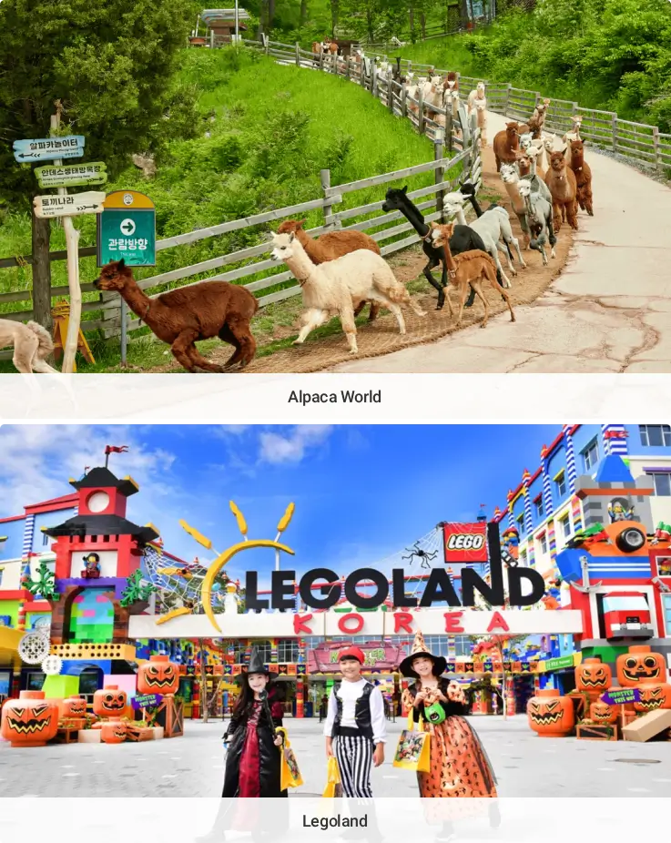 Attractions in Gyeonggi-do: Alpaca World, Legoland
