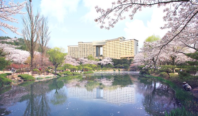 Gyeongju 1 Day / 2D1N Tour from Seoul