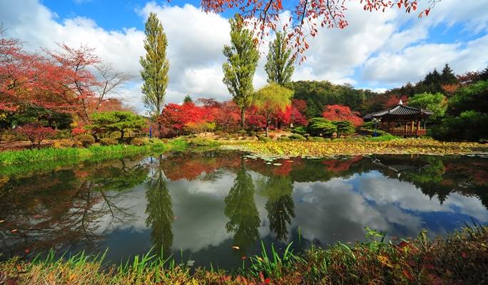 Gyeongju Autumn/Fall Foliage 1 Day / 2D1N Tour - from Seoul (Oct 30~Nov 9)