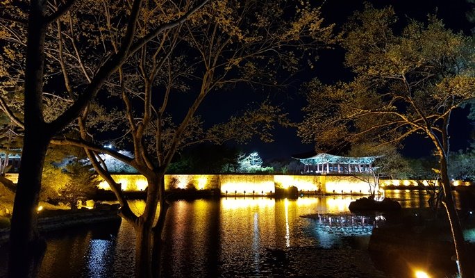 Gyeongju Autumn/Fall Foliage 1 Day / 2D1N Tour - from Seoul (Oct 30~Nov 9)